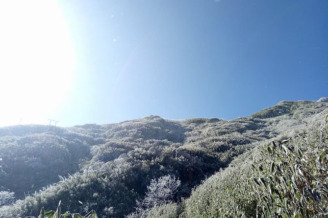 1 day Fansipan Trekking - The final push to Fansipan
