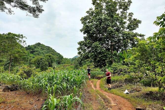 1 Day Ha Giang Loop Tour by Motorbike with Easy Rider - Loopers - How the $68 price adds up