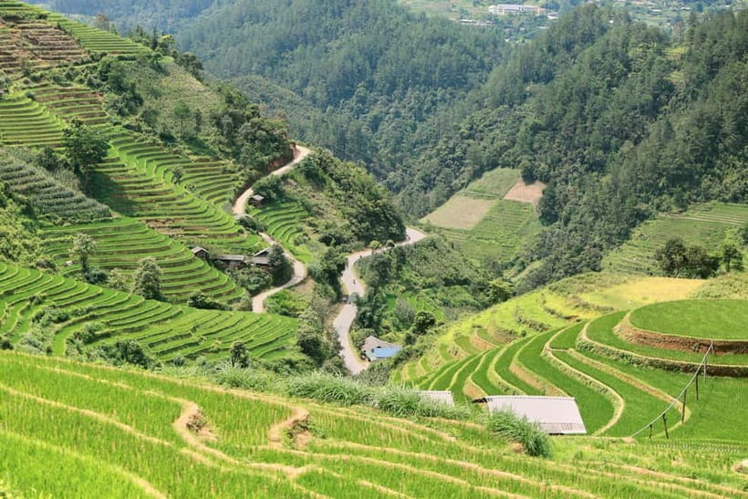 1-Day Sapa Long Trek - Rice Field Terrace, Ethnic Culture - Textiles, natural dyes and a craft visit