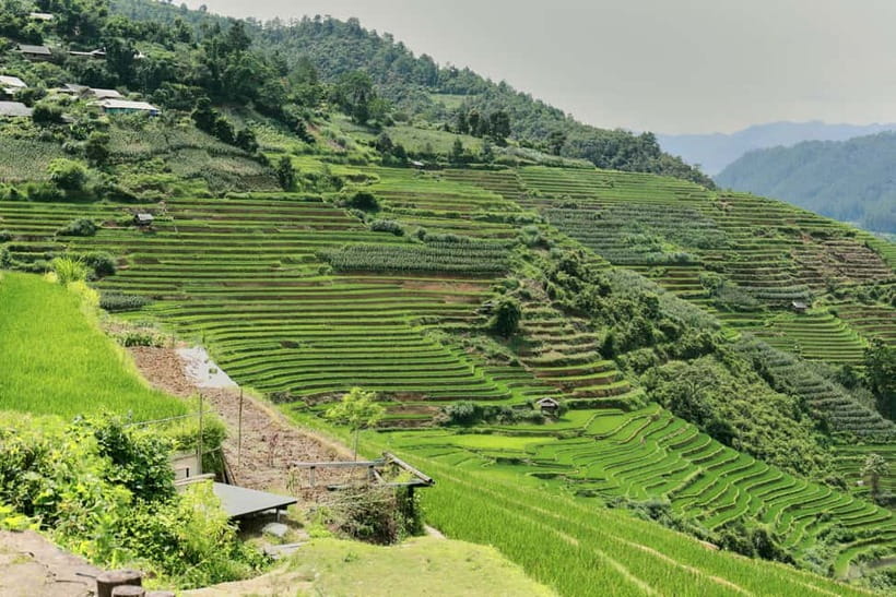 1-Day Sapa Long Trek - Rice Field Terrace, Ethnic Culture - Ta Van and the ride back to Sapa