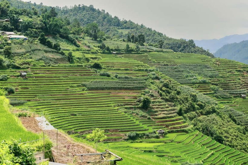 1-Day Sapa Long Trek - Rice Field Terrace, Ethnic Culture - What $24 covers, and what it does not