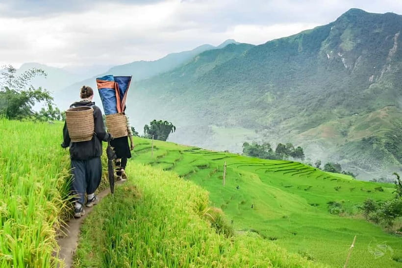1-Day Sapa Long Trek - Rice Field Terrace, Ethnic Culture - Shoes, weather and the level of effort