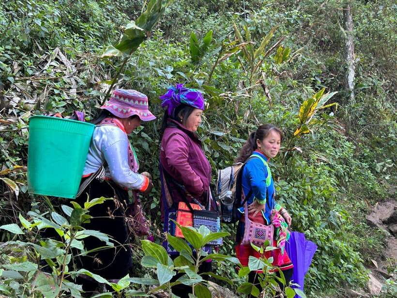 1 Day Sapa Trek&Home-cooked Lunch HmongSisterHouse&Trekking - Walking an old route out of Sa Pa