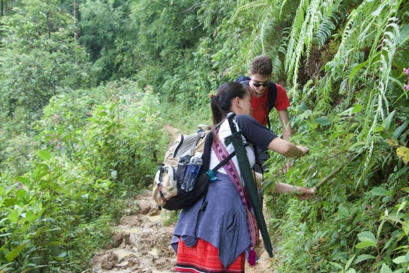 1 Day Sapa Trek&Home-cooked Lunch HmongSisterHouse&Trekking - Rice paddies, village views and the walking itself
