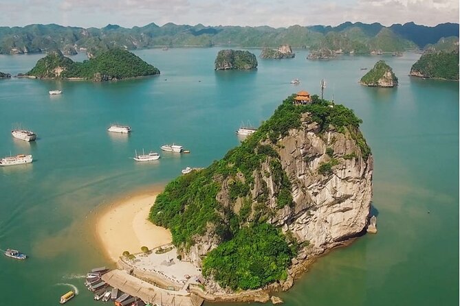 1 Day Tour to Halong Bay Cruise from 3 - 5 star Cruise & Transfer - Sunset Return and a Full Day’s Timing