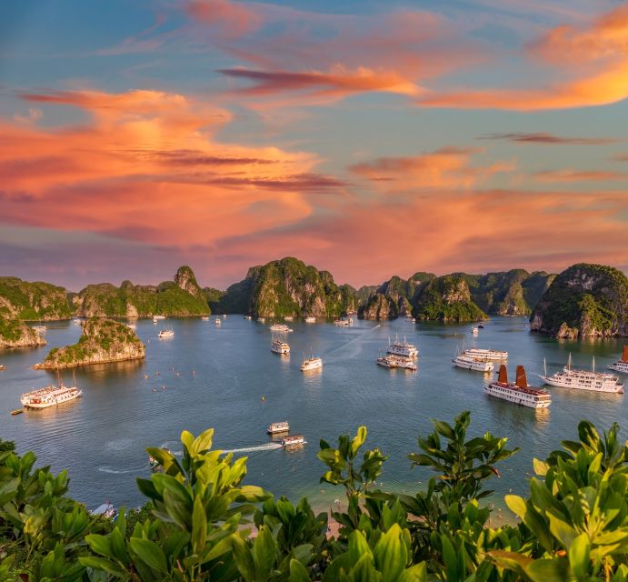 2-Day Ha Noi - Ninh Binh - Ha Long Bay Highlights Tour - Ha Long Bay: caves, water and island time