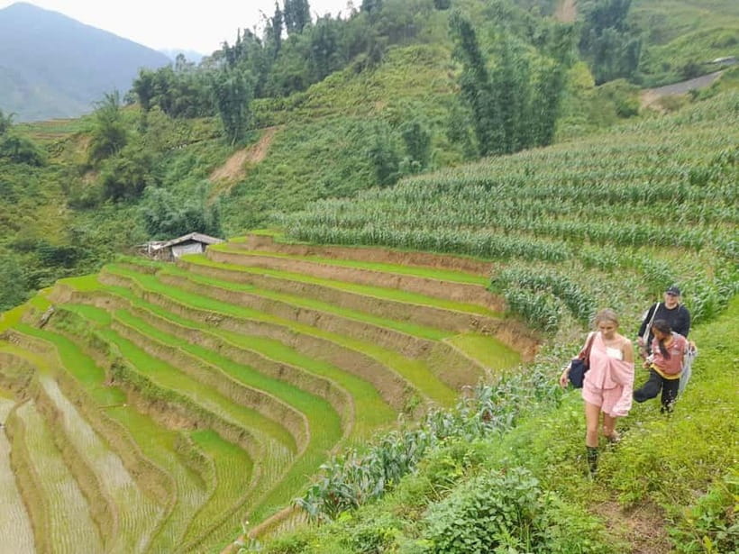 2-Day Sa Pa Ethnic Homestay Tour & Trek with Limousine Bus - Is this the right Sa Pa trip for you?