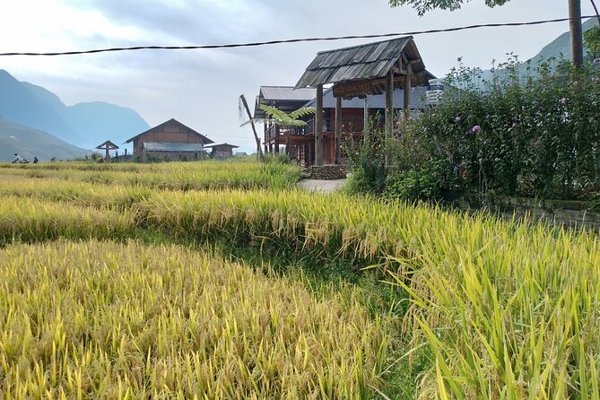 2-Day Sapa Guided Tour Slipping in Homestay From Hanoi - A first look at Sapa, then waterfalls by motorbike