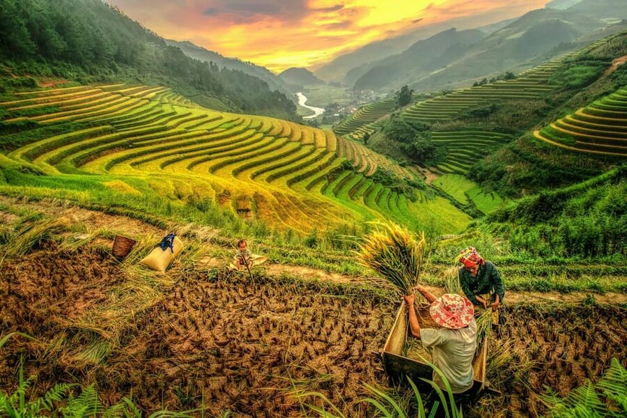 2-Day Sapa Tour - Overnight in Ta Van Village (All in One) - Who should book this Sapa trek?