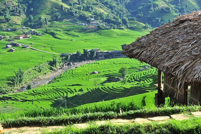 2-Day Trekking Adventure of Sapa from Hanoi with Night Bus - From Hanoi to Sapa, with the night on the bus