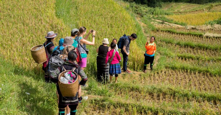 2 Night Lao Chai-Ta Van Homestay- Trekking & Fansipan Visit - Pack for changing mountain conditions