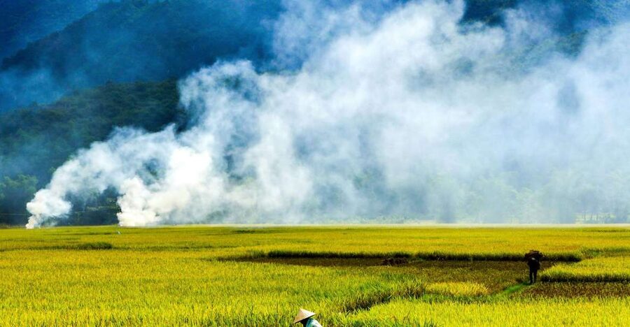 3D2N Mai Chau - Pu Luong from rice valley to nature reserve - Rice terraces and a cool-off at Cham Stream