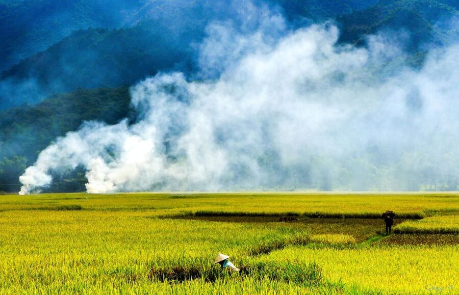 3D2N Mai Chau - Pu Luong from rice valley to nature reserve - Kho Muong, a cave and a village lunch
