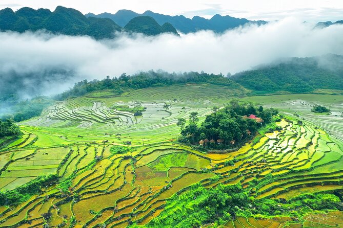 5, 6, 7 day Vietnam Itinerary | Charming | 2026 Northern Packages - Day 4: Trang An by boat, then Mua Caves and Bai Dinh