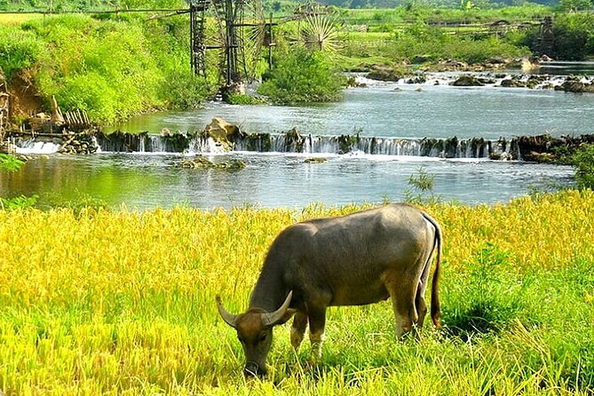 5, 6, 7 day Vietnam Itinerary | Charming | 2026 Northern Packages - Days 2 and 3: Ha Long Bay and the move to Ninh Binh
