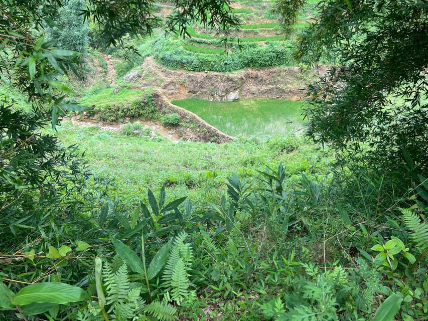 AUTHENIC 2D1N Trek & Bungalow Retreat with Dinh Hmong Family - What $48 covers, and where the value lies