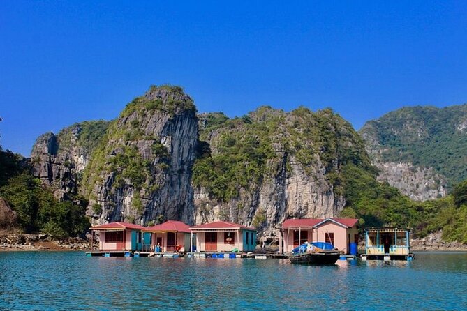 Bai Tu Long Bay 2 Day 1 Night Cruise - Day two: tai chi and Thien Canh Son Cave