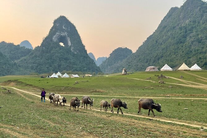 Ban Gioc Waterfall & Mt Angel Eye Full Day Trip with Easy Rider - What $76 covers, and what it does not