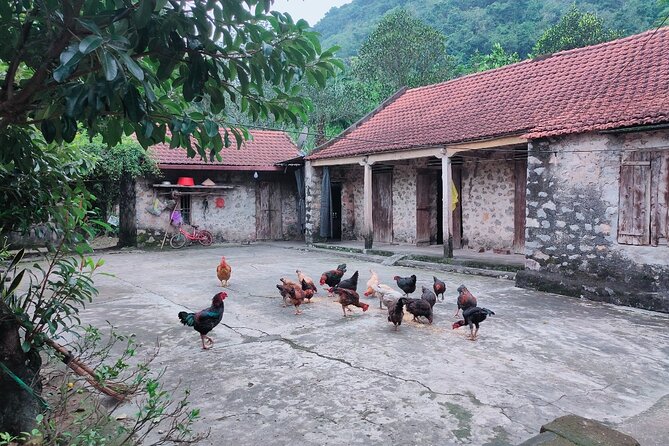 Best Private Day Trip Hanoi to Ninh Binh: Multiple Options - A home-cooked pause with a local family