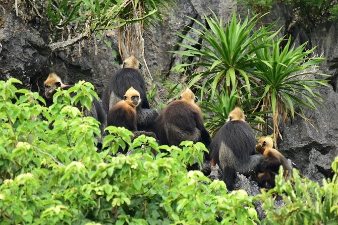 BEST UNIQUE 3-Day Halong Bay Cruise, Lan Ha & Cat Ba Island - What the price covers, and what it does not