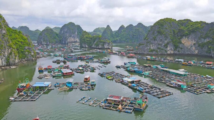 Cat Ba/Ha Noi: Lan Ha and Monkey Island Full Day Boat Trip - Ba Trai Dao: swim, snorkel or stay aboard