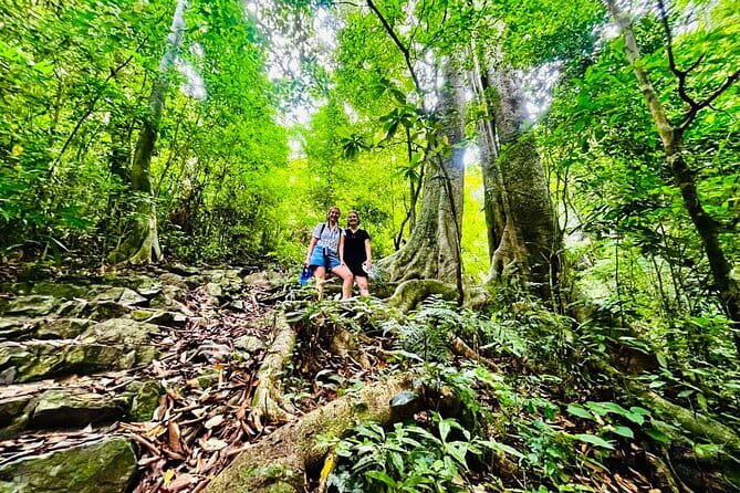 Cat Ba National Park Full Day Trekking Tour to Viet Hai Village - What the $39 price gets you