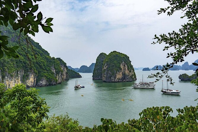 Catherine Cruise 2 Days/1 Night with 6 Star Cruise - Is $490 per person good value?