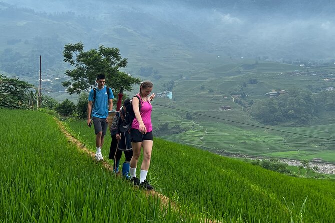 Daily Tour: Sapa Trekking in Muong Hoa valley, Bamboo forest - FAQ
