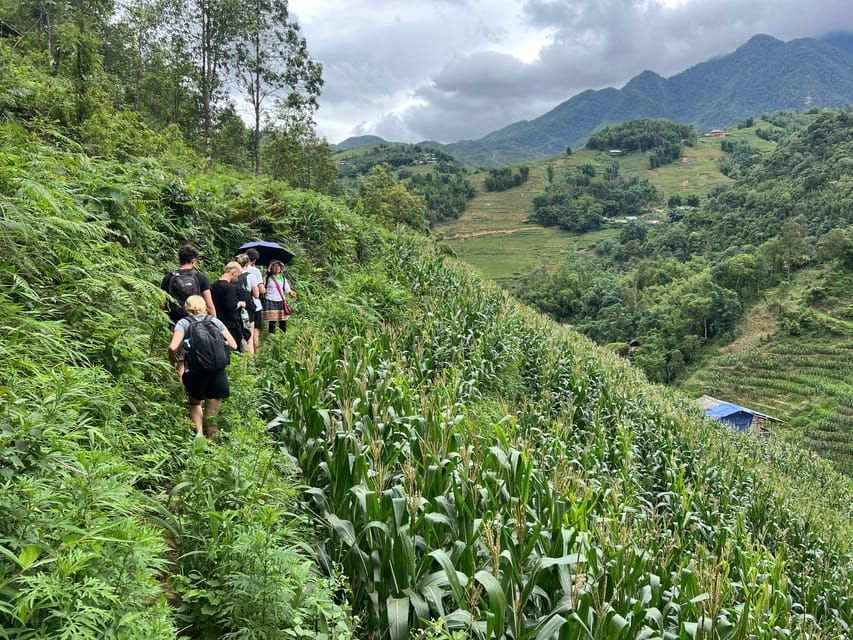 Explore Sapa by TrekkingAdventures, Mountain,Rice fields - The details that make this trek worth considering