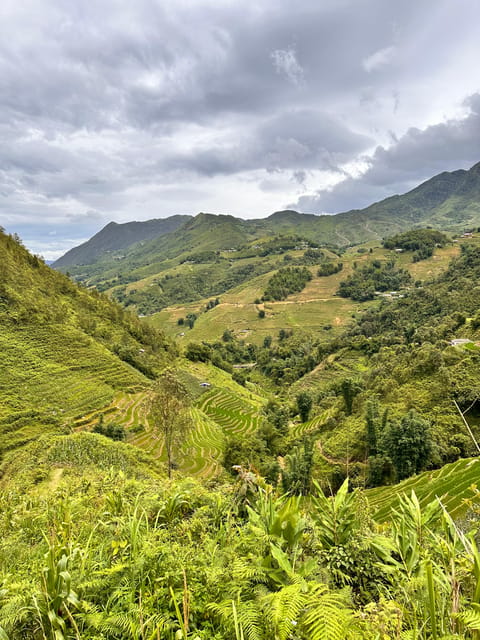 Explore Sapa by TrekkingAdventures, Mountain,Rice fields - Ta Van and the route back to Sapa
