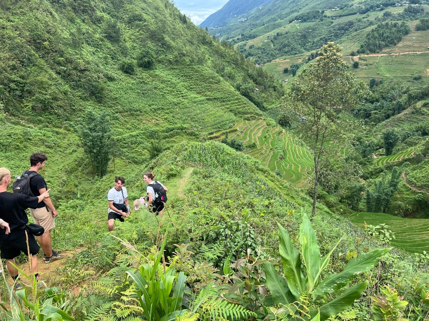 Explore Sapa by TrekkingAdventures, Mountain,Rice fields - What the $23 price covers