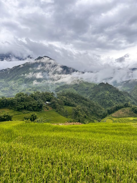 Explore Sapa by TrekkingAdventures, Mountain,Rice fields - Choosing the easier path or the harder trail