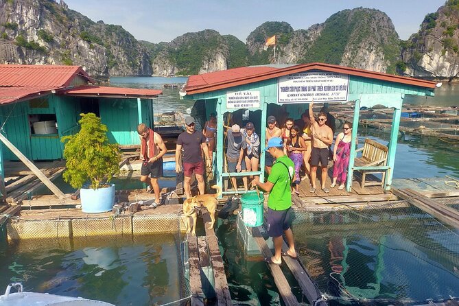 From Ha Noi/Cat Ba: Full-Day Cruise to Lan Ha bay - Ha Long Bay - Lan Ha Bay opens with Cai Beo