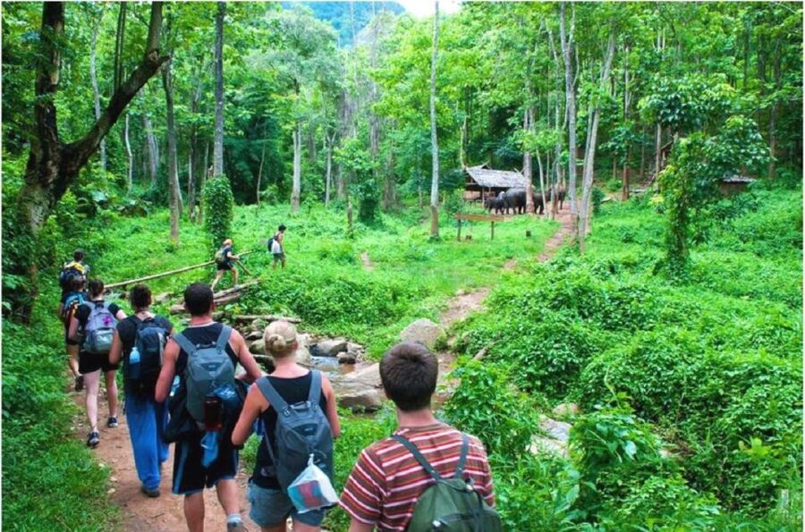 From Hanoi: 2-Day Ha Long Bay Tour with Ninh Binh and Cruise - Two full days, with Hanoi as your base