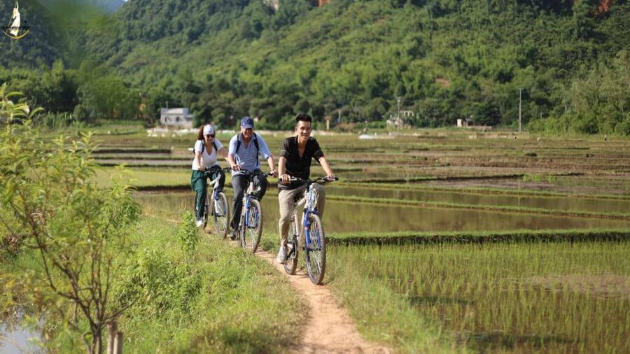 From Hanoi: 2-Day Ninh Binh Tour with Ha Long Bay Cruise - Should you book it?