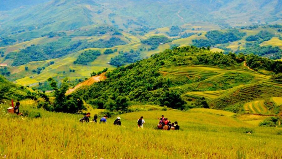 From Hanoi: 2-Day Overnight Sapa Tour by Limousine - Pack for cold mornings and muddy paths