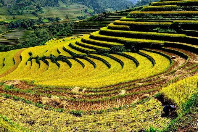 From Hanoi: 2-Day Overnight Sapa Tour by Luxury Van Limousine - Local guides make the village walks more meaningful