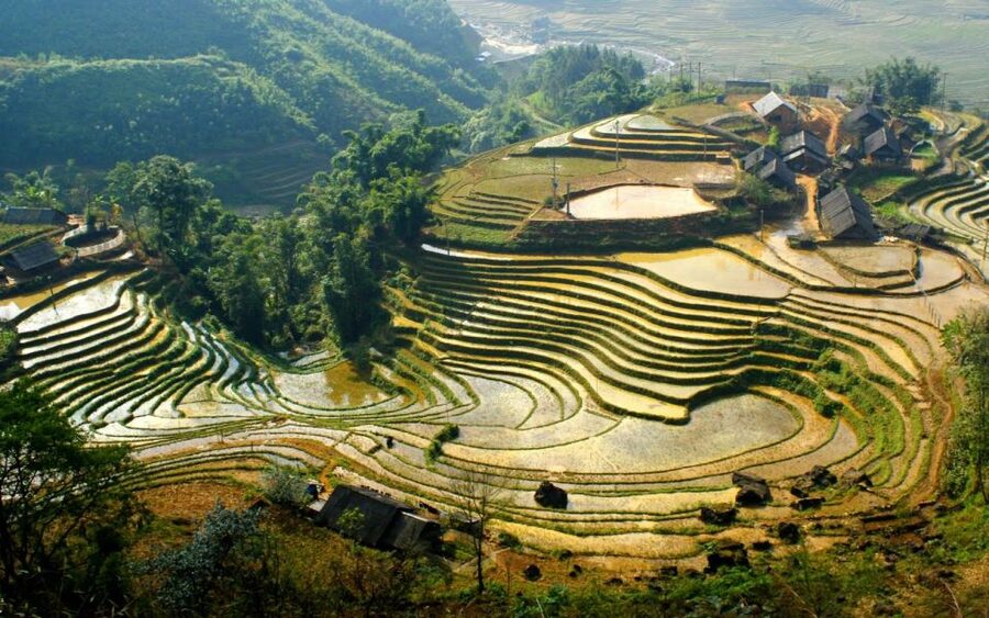 From Hanoi: 2-Day Sapa Cultural Exchange Tour with Homestay - Day Two: Bamboo Forest and Giang Ta Chai