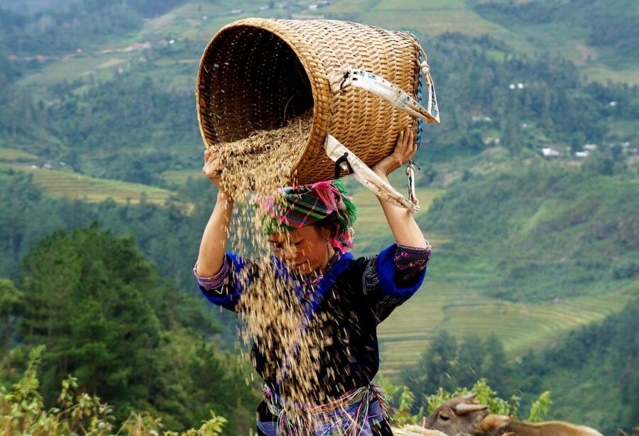 From Hanoi: 2-Day Sapa Cultural Exchange Tour with Homestay - FAQ