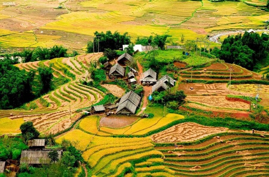 From Hanoi: 2-Day Sapa Trekking Trip with Homestay & Meals - Lao Chai and Ta Van: the first day on foot