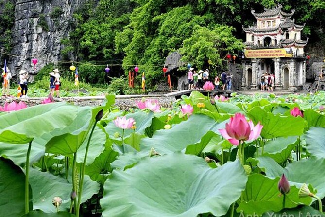 From Hanoi: Hoa Lu, Tam Coc, and Mua Cave Scenic Day Trip - The climb to Mua Cave’s viewpoint