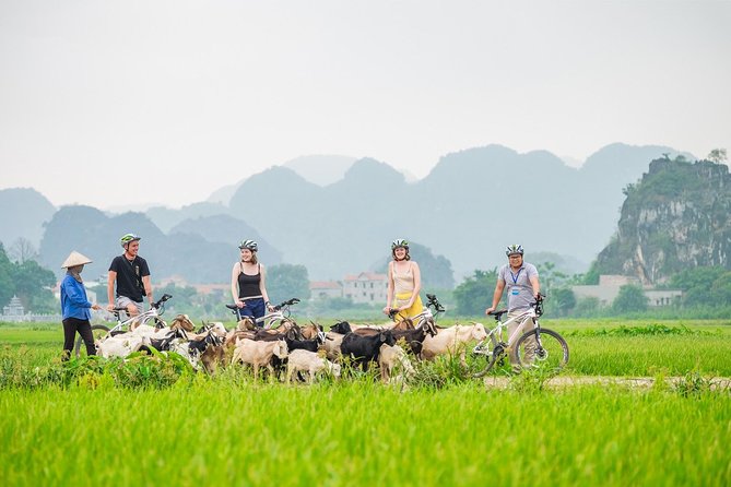 From Hanoi: Hoa Lu - Tam Coc boating - Cycling & Mua Cave visit - Key points before you book