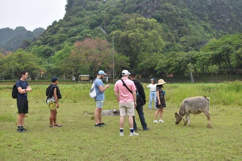 From Hanoi: Ninh Binh, Hoa Lu, Tam Coc, & Mua Cave Day-Trip - What the $26 price does and does not cover