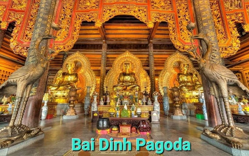 From Hanoi/NinhBinh: HoaLu-Bai Din- TrangAn- MuaCave-BichDon - Trang An’s boat journey is the day’s centerpiece