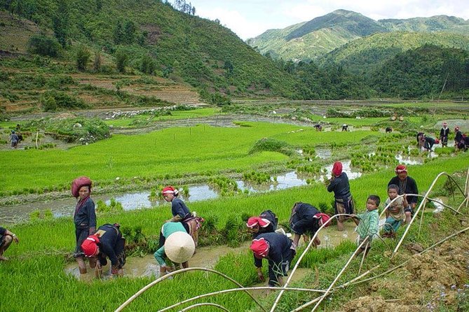 From Hanoi: Sapa Real Experience 2-Day 1 Night at Ethnic Homestay - Sleeping at the homestay: Friendly, clean and simple