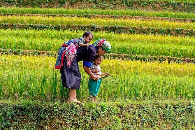 From Hanoi: Sapa Real Experience 2-Day 1 Night at Ethnic Homestay - What $70 covers, and where the value lies
