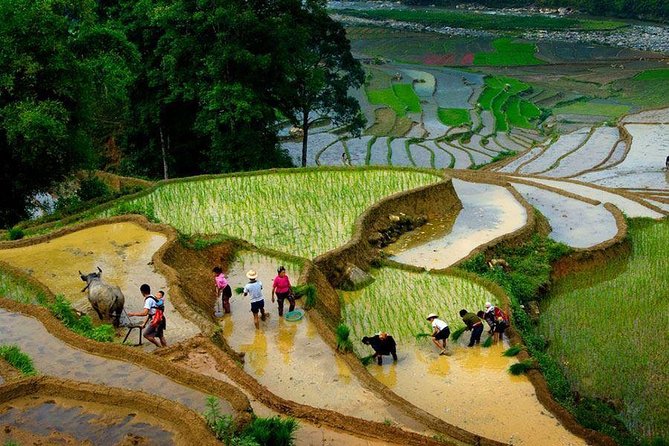 From Hanoi: Sapa Real Experience 2-Day 1 Night at Ethnic Homestay - Who will enjoy this trek, and who should skip it