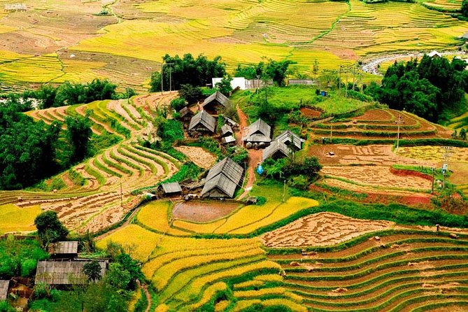 From Hanoi: Sapa Real Experience 2-Day 1 Night at Ethnic Homestay - Day two: Breakfast, bamboo forest and a second walk