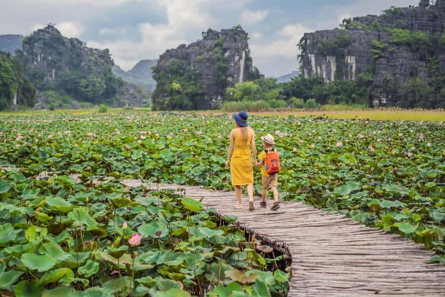 From Hanoi: Trang An Eco-tourism -Bai Dinh pagoda & Mua Cave - Mua Cave: 500 steps to a wide view