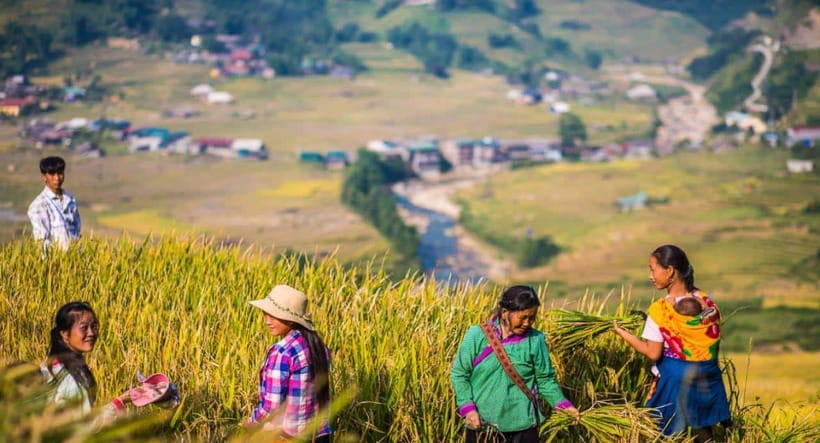From Hanoi: Trek and Stay: 3-Day Sapa Highlands Adventure - What the $98 price covers
